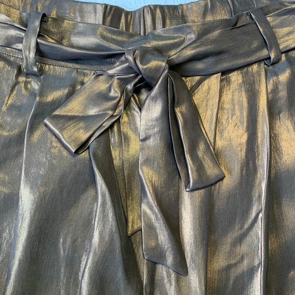 Stills Gold Coated Pants - Picture 3 of 11